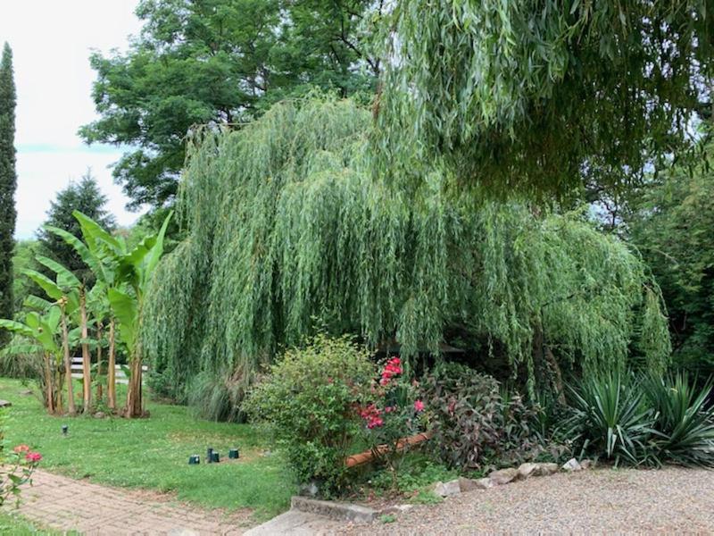 Gites Matilon, 5 Min Eugenie Les Bains Buanes エクステリア 写真
