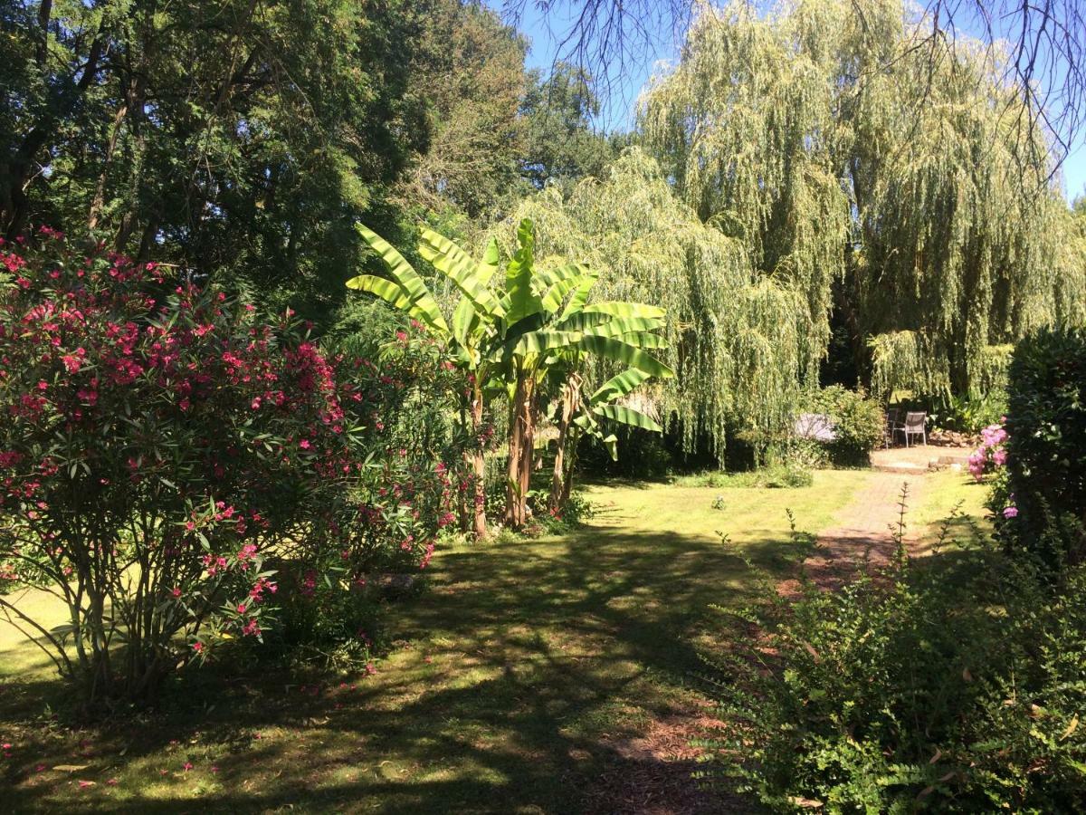 Gites Matilon, 5 Min Eugenie Les Bains Buanes エクステリア 写真